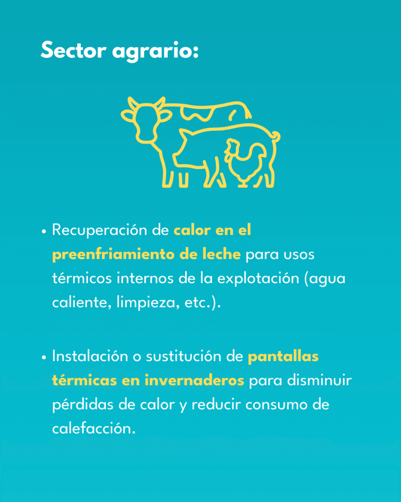 Acciones de eficiencia energética para el sector agrario que generan CAE.
